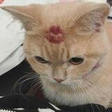 ur warm hug