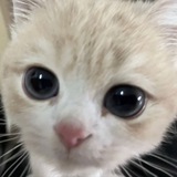 raaar