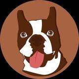 DogonSwap Airdrop Bot