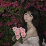hjgfr12bot