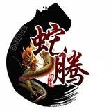 蛇腾机器人