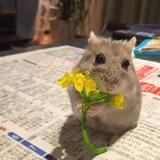 babu
