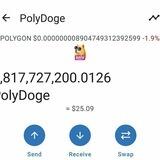 POLYDOGE AUTOPAY BOT