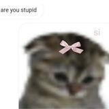 ઈઉ
