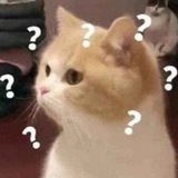 😸