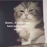 RPFESS