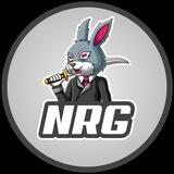 TeamNrg Feedback Bot
