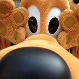 Voyage to Pluto