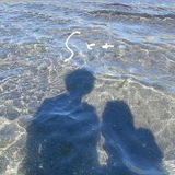 withme