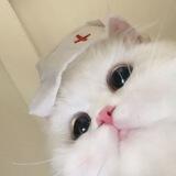 caibel :3