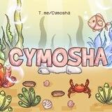 cymosha’s helper!