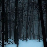 Winterstore_order