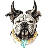 KaspaDog Airdrop (New Round)