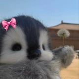 Emollie
