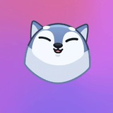 洛叶双向