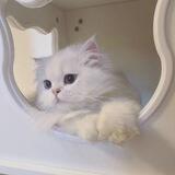 Lownjunnie^-^