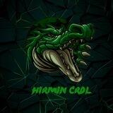 Hirmincrdl
