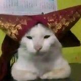 anjay