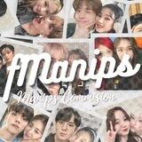 fManips