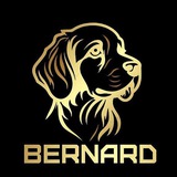 BernardTrail Airdrop (~$1,000)