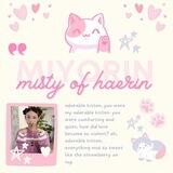 Misty of Haerin's protector!!