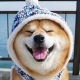（24H）在线客服