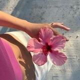baelana assistant 🌺