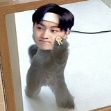 Bot apa aja