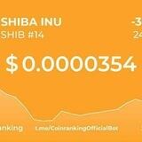 BIGBULL SHIB BOT