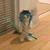 kuru kuru