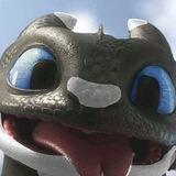 DRAGON FOK