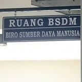 Pak Camat