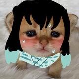 ✶ 手綱.