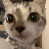 miuw miuw ^~~~^