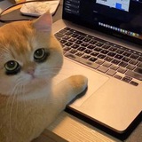 The Cutest, Me!