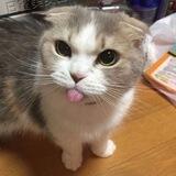 seya