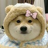 旺财