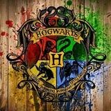 Ofc Hogwarts school
