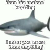 Fy's