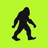 BitFoot