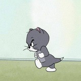 aripaaa