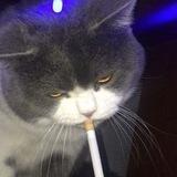 Nielll