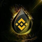 Binance Smart Chain Bot