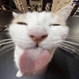 fhelper