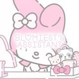 ౿ֹ 🩰 ׅ ֹ ♡ 𝙱𝙻𝙾𝙼𝙸𝙴𝚂𝚃’𝚂 — 어시스턴트 ִ ֹ ◌ ৎ