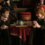 Potters