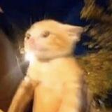 lititito