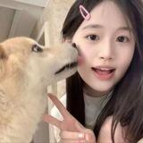 白豆腐的助理