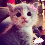 jajaannn..♡