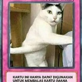 bot's